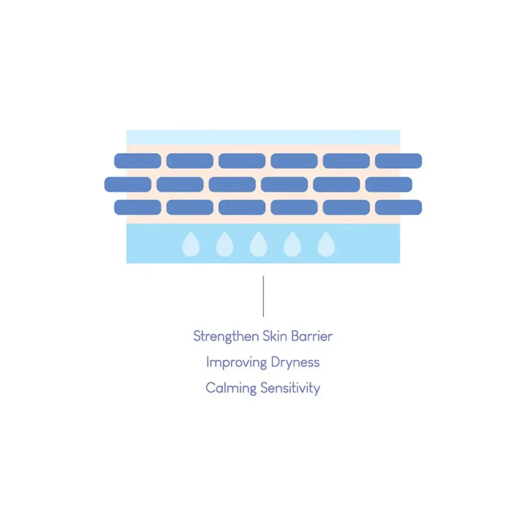 Purito Dermide Cica Barrier Sleeping Pack 80ml